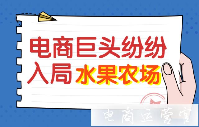 電商巨頭紛紛入局水果農場-買賣雙方&平臺都有哪些好處?